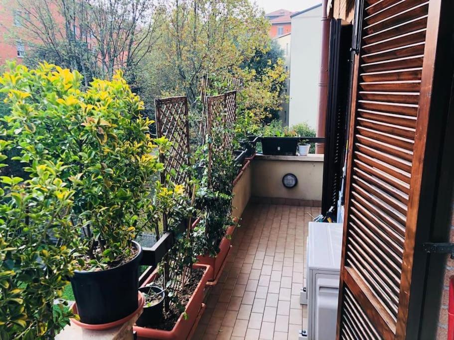 Ketty House B&B - Policlinico Di Monza, U-Power Stadium ภายนอก รูปภาพ